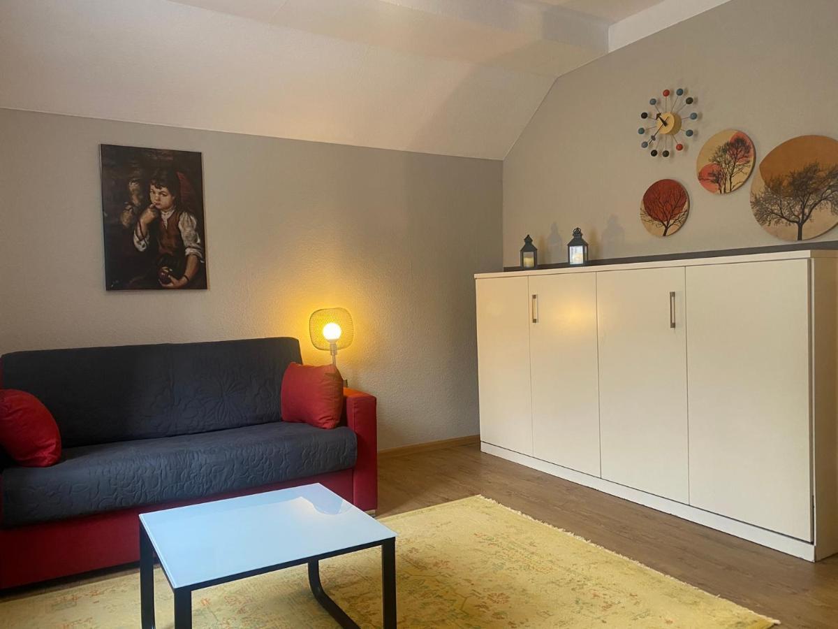 S-Villa Apartments Im Schwarzwald Шилтах Екстериор снимка